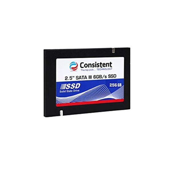 Consistent 2.5" 256GB SSD with SATA III Interface